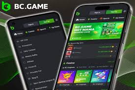 Complete Guide to BC.Game Registration Process Complete Guide to BC.Game Registration Process
